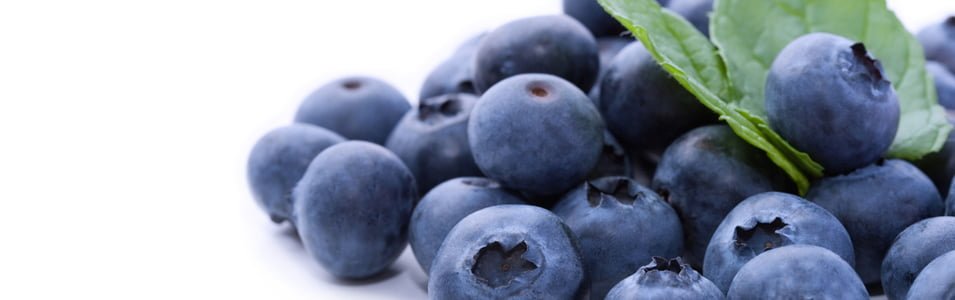 blueberries Blueberries