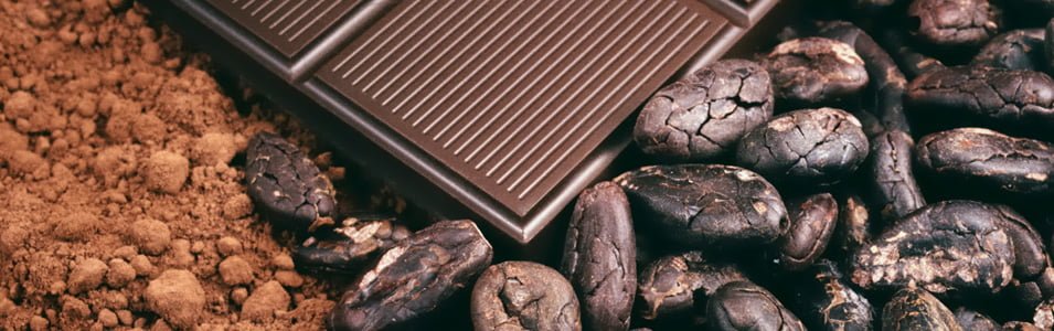 is-chocoloate-good-for-you Dark Chocolate good for you?