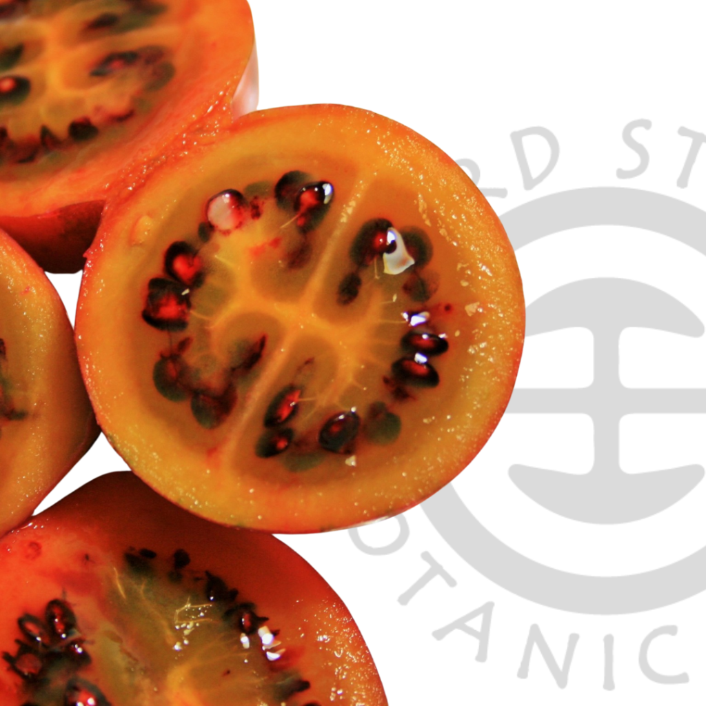 tsb-tamarillo