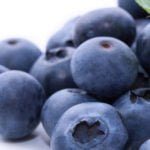 Blueberries